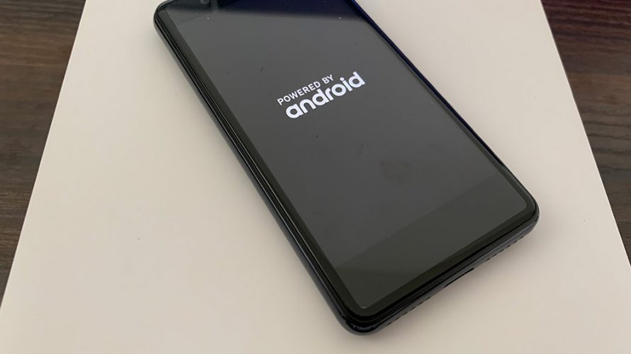 Rakuten Mini本体代が1円だったから申し込んだ奴が来た!